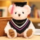 thumbnail image 1 of Peluche de 20 cm del Dr. Bear, un oso de peluche suave y kawaii, ideal como regalo de graduación o Navidad para niños y niñas., 1 of 6