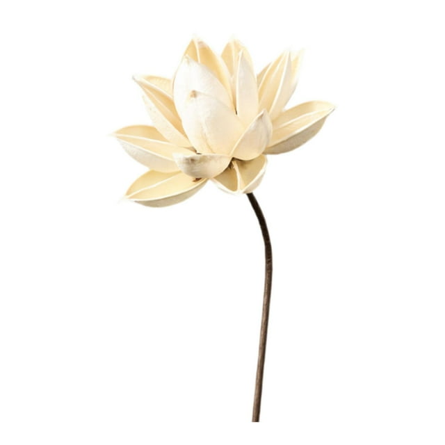 Ramo de flores secas para jarrón, arreglo floral con plantas secas, bricolaje decorativo para bodas, salas de estar, dormitorios, decoración del hogar Estilo M
