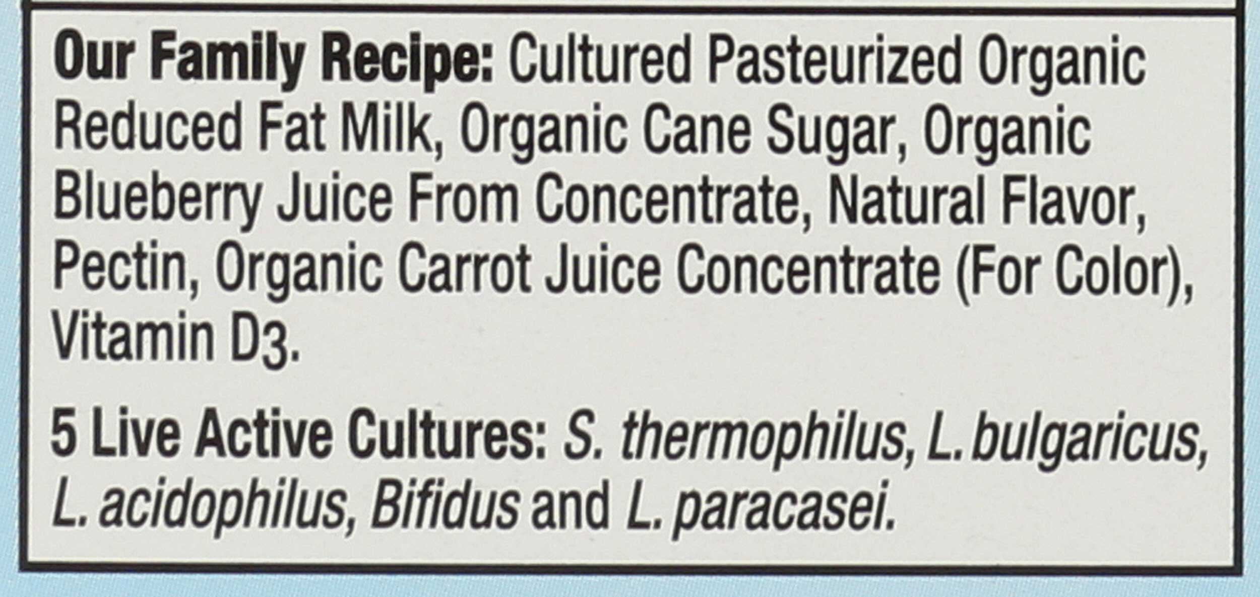 Stonyfield Yokids Organic Blueberry Low Fat Yogurt, 3.5 Ounce Pouch -- 24 per Case.