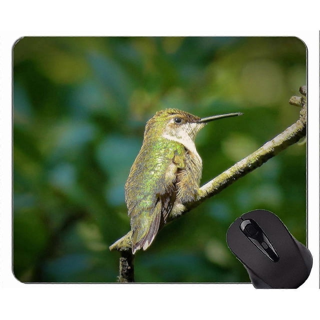 Souris de Jeu Personnalisée, Faune Colibri 300x250x3 Colibri