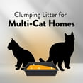 thumbnail image 6 of ARM & HAMMER HardBall Lightweight Cat Litter, Multi-Cat No-Mess Scoopable Clumping Litter, 10.5 lb, 6 of 13
