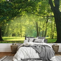 wall26 - Trees in a Summer Forest - Removable Wall Mural | Self-Adhesive Large Wallpaper - 100x144 inches