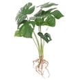 thumbnail image 6 of FENGGUIQU 2Pcs Vivid Plastic Artificial Monstera Plant for Homeowners Office Workers, 6 of 6