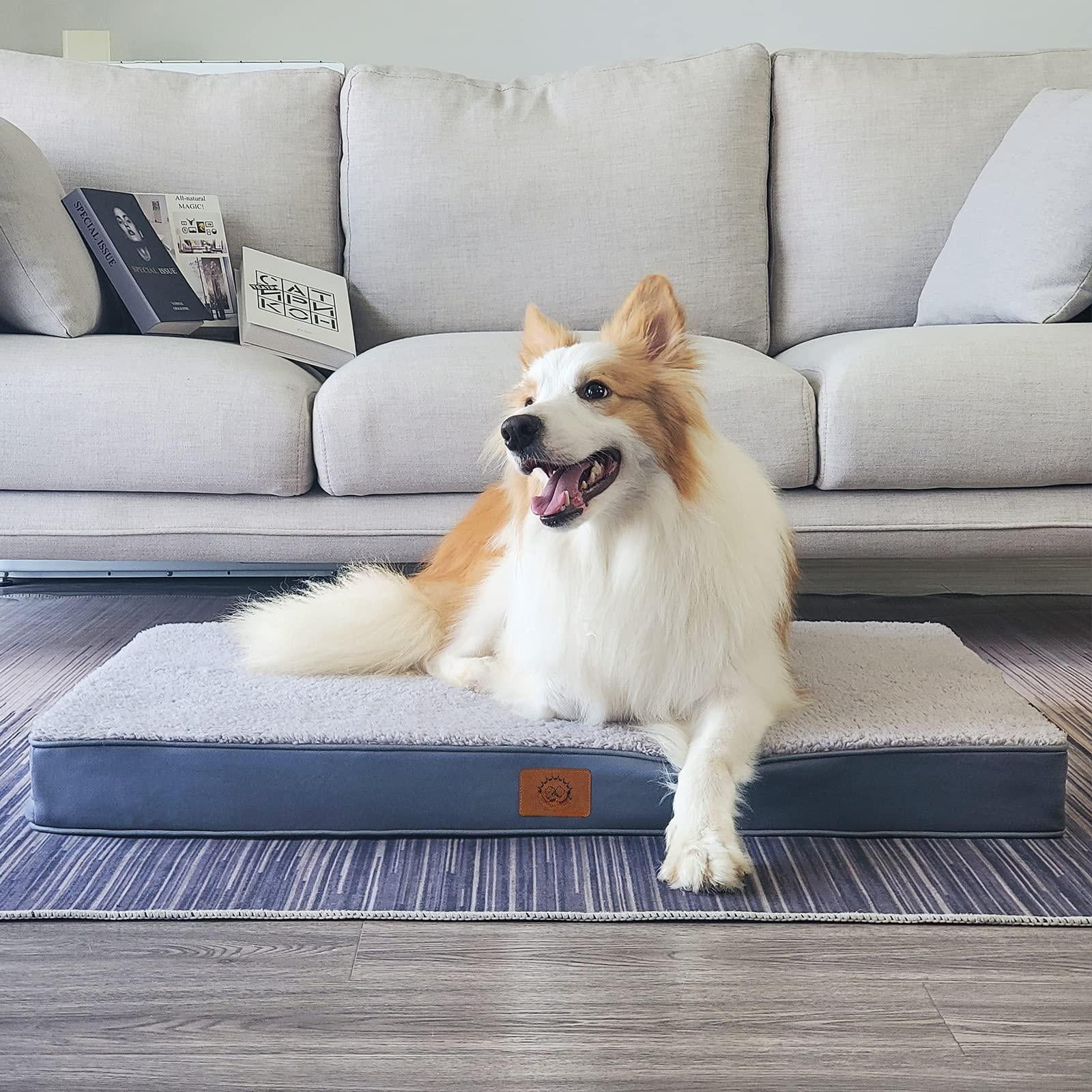 Dog Beds For Small Dogs  Waterproof Puppy Bed With Removable Washable Cover Non-slip Bottom And Egg-crate Foam (grey 24.0" L X 16.0" W 3.0" Th)