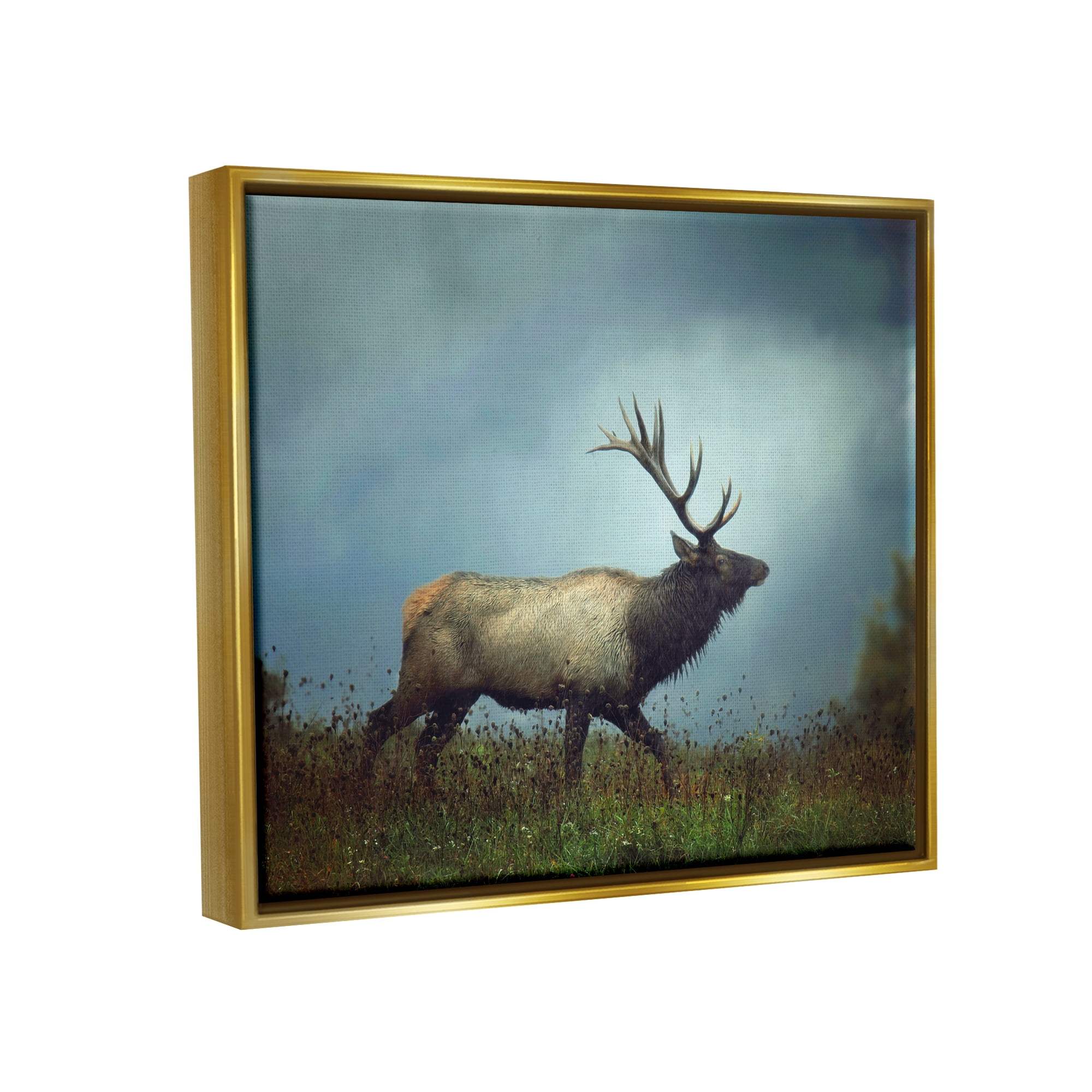 Stupell Industries Serene Elk in Nighttime Clearing Wildlife Photography Photograph Metallic Gold Floating Framed Canvas Print Wall Art, Design by Carrie Ann Grippo-Pike