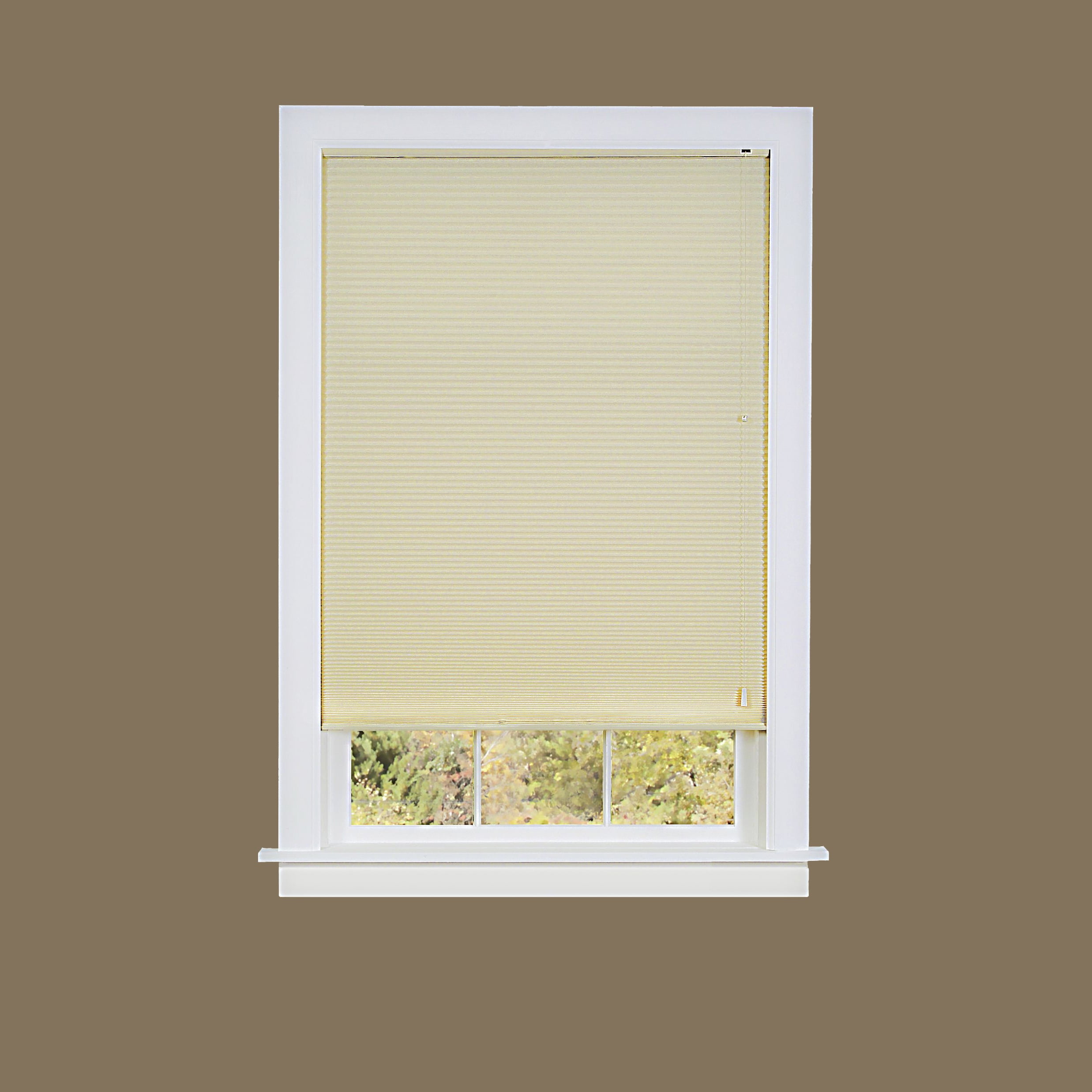 Cellular Pleated Shades