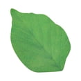 thumbnail image 1 of RO 50 hojas de notas adhesivas, hermosas notas autoadhesivas en forma de hoja verde, juego de notas adhesivas para decoración de bricolaje, escuela y uso doméstico Sincero Electrónica, 1 of 4