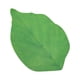 thumbnail image 1 of RO 50 hojas de notas adhesivas, hermosas notas autoadhesivas en forma de hoja verde, juego de notas adhesivas para decoración de bricolaje, escuela y uso doméstico, 1 of 4