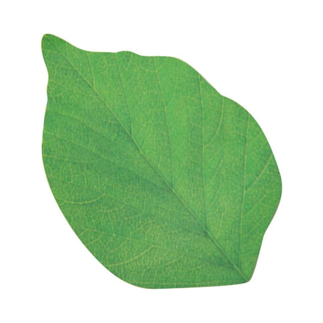 RO 50 hojas de notas adhesivas, hermosas notas autoadhesivas en forma de hoja verde, juego de notas adhesivas para decoración de bricolaje, escuela y uso doméstico Sincero Electrónica
