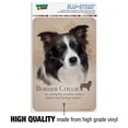 thumbnail image 5 of Border Collie Dog Breed Home Business Office Sign, 5 of 7