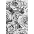 thumbnail image 2 of Marmont Hill Rose's Spotlight II Painting Print on Wrapped Canvas, 2 of 5