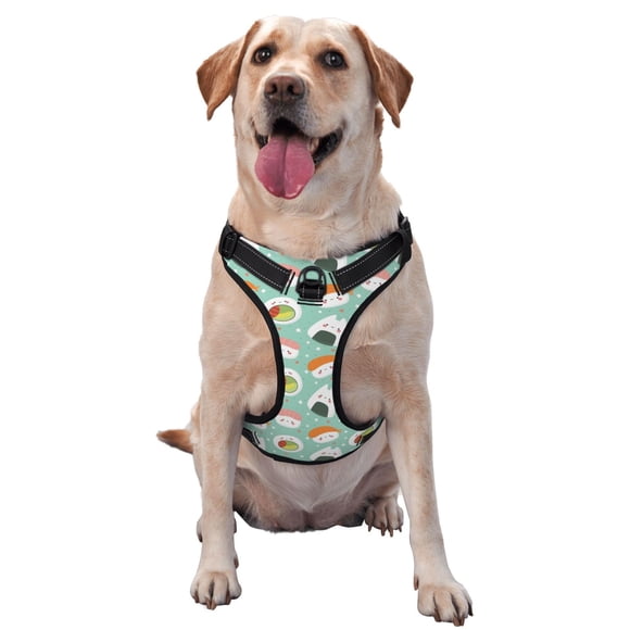 Balery Kawaii Sushi Arnés para Perros Grandes Antitirones, Arnés con Correa para Gato, Arnés Tipo Chaleco para Perros Pequeños-Large