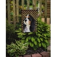 thumbnail image 2 of Carolines Treasures LH9065-FLAG-PARENT Cavalier Spaniel Tricolor Candy Corn Halloween Portrait Flag  multicolor, 2 of 2
