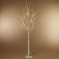 thumbnail image 3 of 6 ft. Prelit Birch Tree with Warm White LEDs, 3 of 4