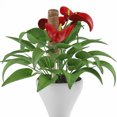 thumbnail image 4 of 3PCS Plant Climbing Vine Coconut Palm Stick, 4 of 8