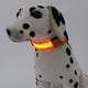 thumbnail image 1 of Fiudx Collar Led para Perro, Recargable Por Usb, Correa de Nailon Luminosa, Reflectante, Mantiene a Tu Mascota Segura, Visible Hasta 500 Metros, Ajustable para Perros Pequeños y Medianos, Incluye Cab, 1 of 6