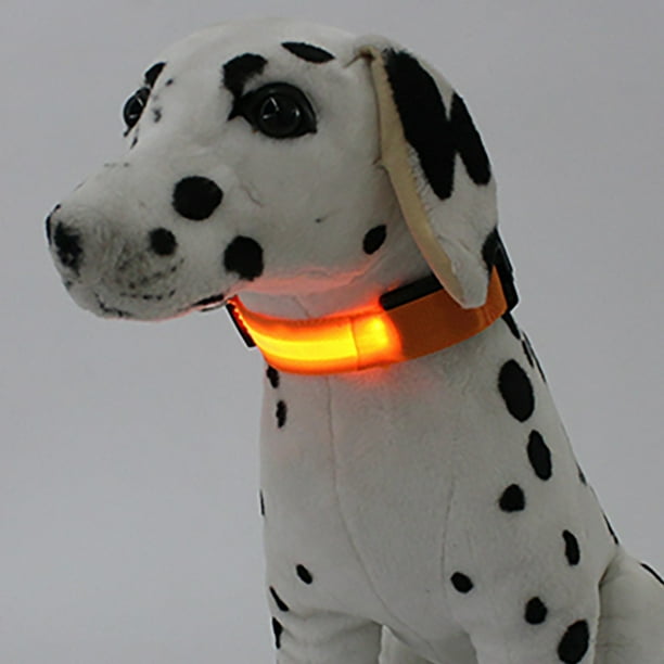 Collar LED para perro, recargable por USB, con correa de nailon suave y luminoso, ideal para perros pequeños y medianos. Cama cálida.