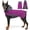 Purple, variant on Amztom Dog Winter Hooded Jacket, Warm Fleece Lined Coat with Reflective Strips, Adjustable Side Waist & Leg Loops, for Small to Large Dogs(Purple, S)