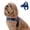 Aqua, variant on Dog Friendly Co Chafe Resistant Webbing, Adjustable Neck & Chest, and Heavy Duty D-Ring Dog Harness, Hi-Vis Orange, X-Large