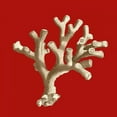 thumbnail image 2 of Vision Studio 20x20 White Modern Wood Framed Museum Art Print Titled - Small Coral on Red II, 2 of 4