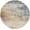Navy, Ice Blue, Gray / Alexandra, variant on BoutiqueRugs Simsbury Oriental Medallion Large Area Rug - Farmhouse Traditional Floral Carpet for Living Room - Navy, Fuchsia, Gray - 7'10" x 10'2" (8x10 Area Rug)