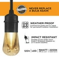 thumbnail image 6 of Enbrighten LED Vintage Café String Lights, 24ft, Acrylic Bulbs, 35629, 6 of 11
