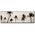 thumbnail image 2 of Trademark Art "Black & White Palms" Canvas Art by Preston, 2 of 2