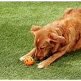 thumbnail image 4 of 4 Pack Chuckit Breathe Right Fetch Ball Dog Toy [Dog Fetch Toys] Medium - 4 count, 4 of 4