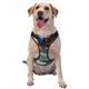 thumbnail image 1 of Fotbe Stylish Sunglasses Iguana Arnés para Perro con Estampado –Chaleco Ajustable Acolchado con Asa de Control para Perros Grandes-Medium, 1 of 6