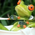 thumbnail image 3 of Transemion Decorative Frog Figurines Charming Ornaments For Home Decor Adding Touch Of Vitality To Home, 3 of 6