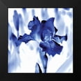 thumbnail image 2 of Donovan, Kelly 15x15 Black Modern Framed Museum Art Print Titled - Blue Ice Iris, 2 of 5