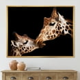 thumbnail image 2 of Close UP Of Two Giraffes Kissing II 20 in x 12 in Framed Photography Canvas Art Print, by Designart, 2 of 5