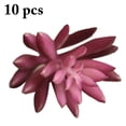thumbnail image 1 of 10PCS Artificial Succulents Decorative Mini Lifelike Simulated Plants Home Decor, 1 of 9