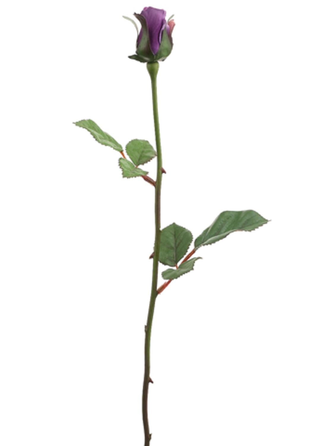 rose bud mature singles Find independent and private escorts in melbourne (vic) australia on scarlet blue. rose bud mature singles Find independent and private escorts in melbourne (vic) australia on scarlet blue.