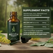 Betterbrand Mullein Drops for Lung Detox - Mullein Leaf Tincture with Chlorophyll - Helps support respiratory health, Alcohol-Free, 1 month supply - 60ml