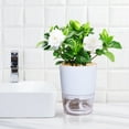thumbnail image 3 of Luxcidy 2 Layers 4.5In Detachable Self-Watering Plant Flower Pot with a Water Container & Cotton Ropes, Shatterproof Plastic Plant Pot for All House Herbs Plants African Violets & Dahlias (White), 3 of 5