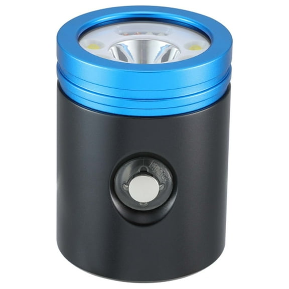 BigBlue Light Head for VTL2900PB