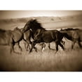 thumbnail image 3 of Leacock, J.C. 18x15 Black Modern Framed Museum Art Print Titled - Dark Horse, 3 of 5