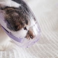 thumbnail image 3 of Bozal Transpirable Para Gato, Casco De Bozal Para Gato Resistente Al Desgaste De 3 Piezas ABS Fácil De Usar Con Pequeños Orificios Para Bañarse, 3 of 7
