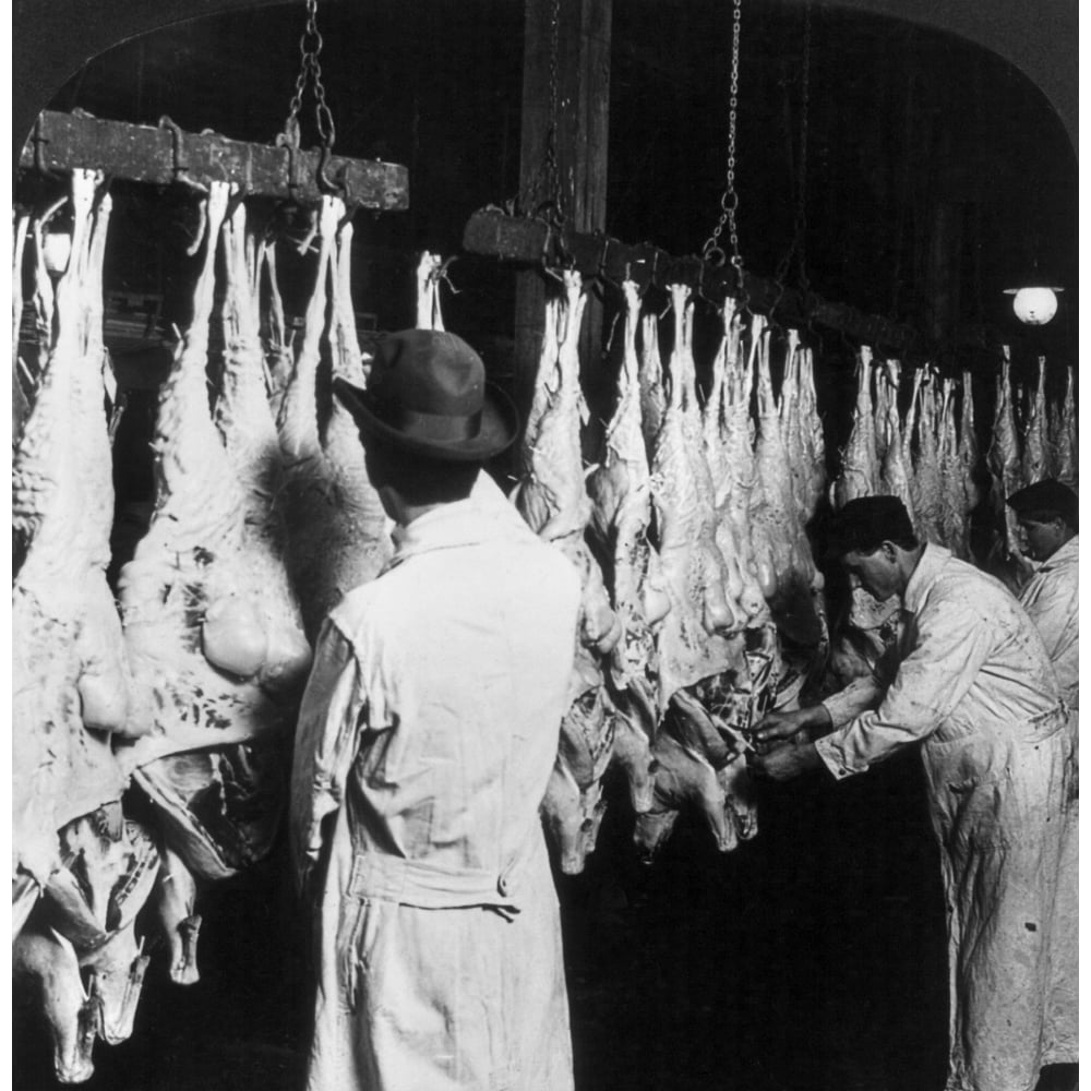 Chicago Meatpacking Nfactory Workers Washing And Tagging Freshly Killed ...