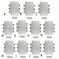 thumbnail image 4 of Sidaley Micro inversor inalámbrico 300/350/600/700/800//1200/1400/1600/2000/2400/2800W, convertidor de conexión a red Solar automático con datos de Adaptadores de corriente 1400W, 4 of 6