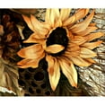 thumbnail image 2 of CafePress - Sunflower - Sherpa Fleece Throw Blanket 60" x 50", 2 of 5