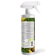EcoVenger Ant & Crawling Insect Killer (Citrus Scent) 16 OZ, Kills Fast in Minutes, Also Kills Spiders, Centipedes & More, Repels with Residual, Natural & Non-Toxic, Children & Pets Safe