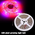 thumbnail image 2 of 16.4ft LED Plant Grow Strip Lights, Full Spectrum Red Blue 5:1 Rope Lamp High Luminous Flower Supplementary Optical Source, 2 of 8