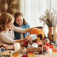 thumbnail image 3 of 12 Unids Surtido de Calabazas Falsas Calabazas de Cosecha de Granja Artificial para OtoñO Boda AccióN de Gracias DecoracióN de Halloween A, 3 of 7