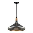 thumbnail image 1 of Xtricity - Pendant Light, 11 '' Height, From the Molly Collection, Silver, 1 of 3