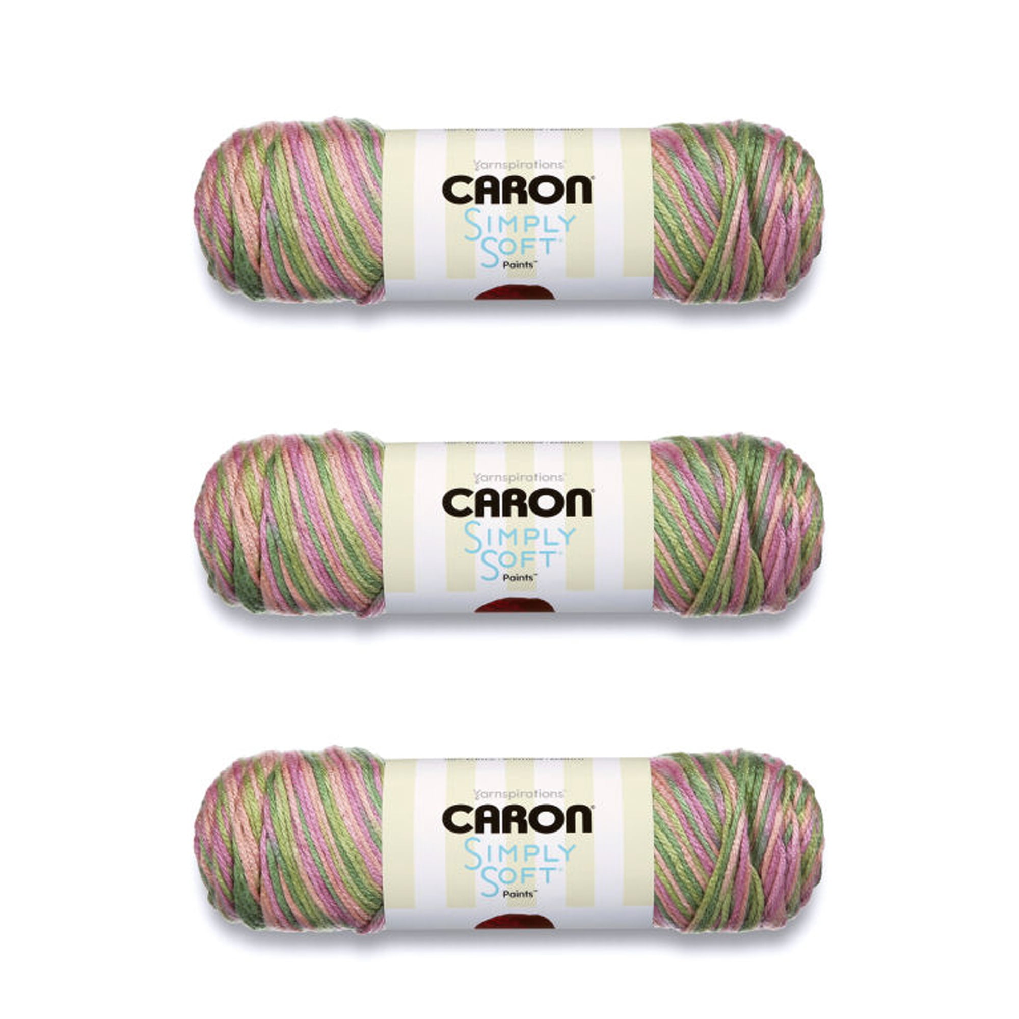 Caron Simply Soft Rose Garden Paints Yarn 3 Pack of 141g/5oz