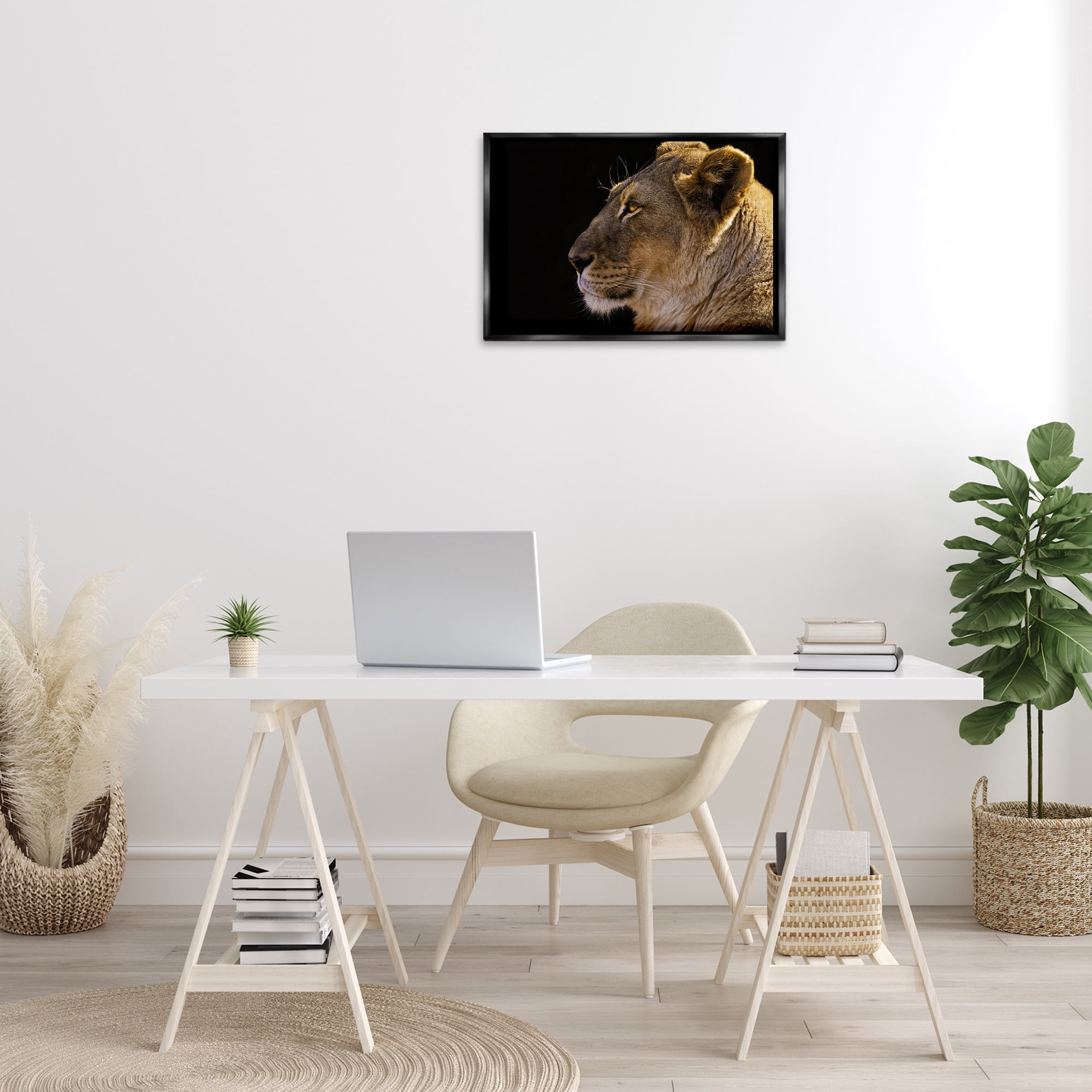 Stupell Industries Fierce Lion Looking Left Animals Photography Black Floater Framed Canvas Art Print Wall Art, 25 x 17