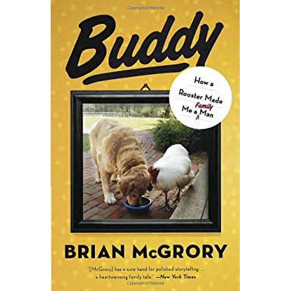 Buddy : How a Rooster Made Me a Family Man 9780307953070 Used / Pre-owned