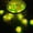 Green, variant on 20LED Orange Lime Lemon Slices Fruit Lights Lantern Fairy String Light Battery Operated Indoor Outdoor Lighting for Garden Wedding Bedroom Home Birthday Party Christmas Decoration